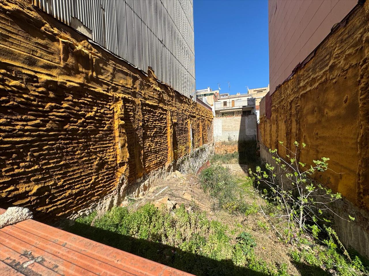 - Image 6