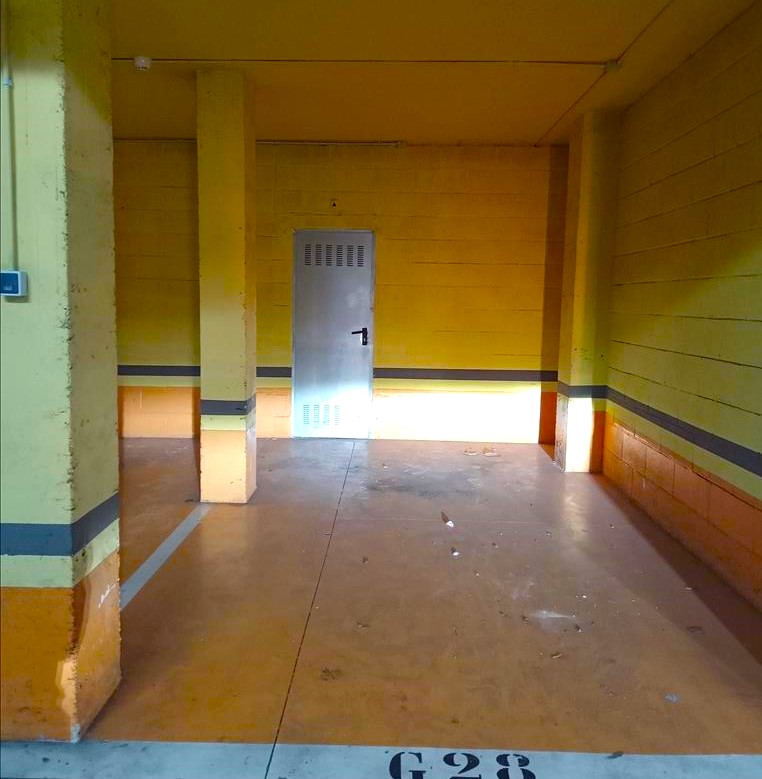 Image5