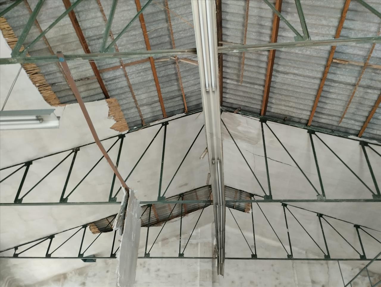 undefined - Image 9