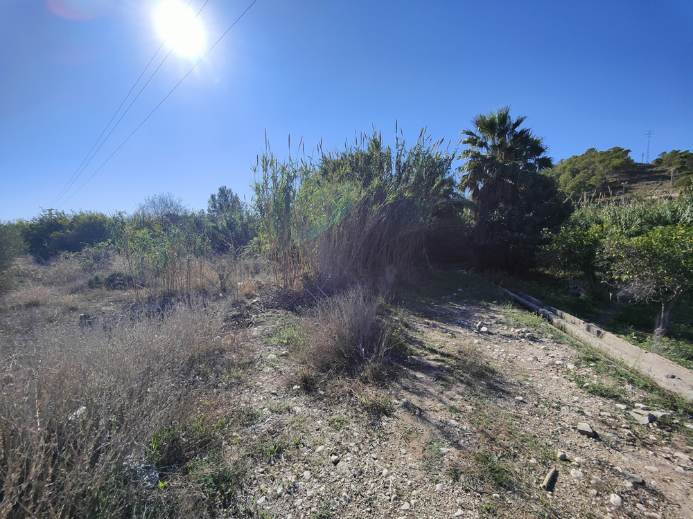 - Image 4