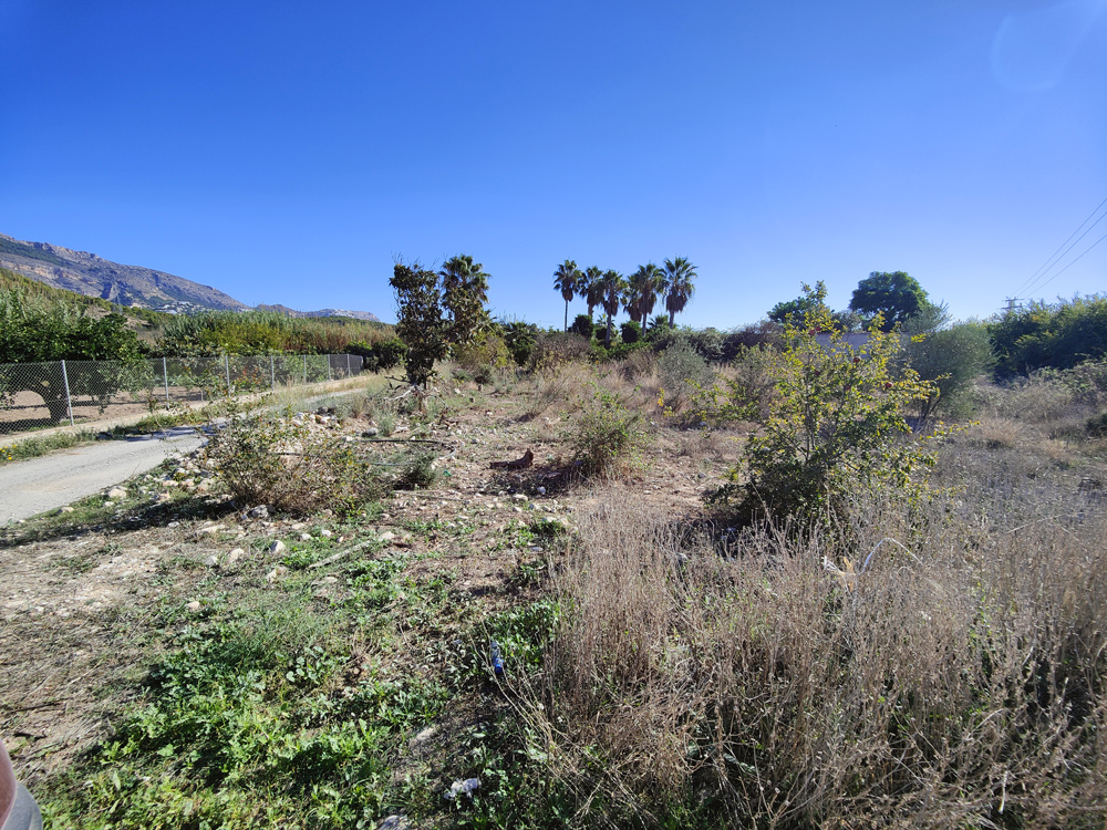 - Image 5