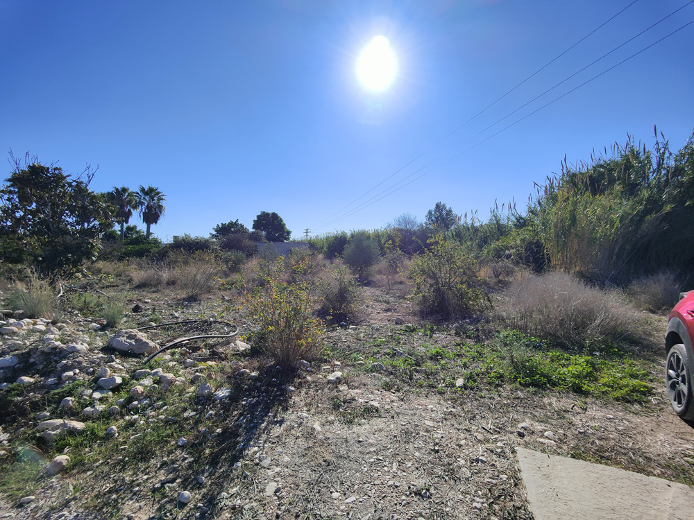 - Image 7