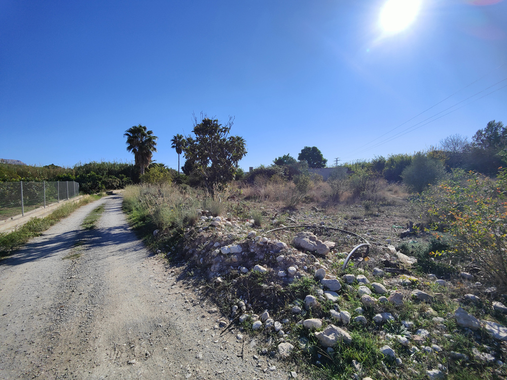 - Image 12