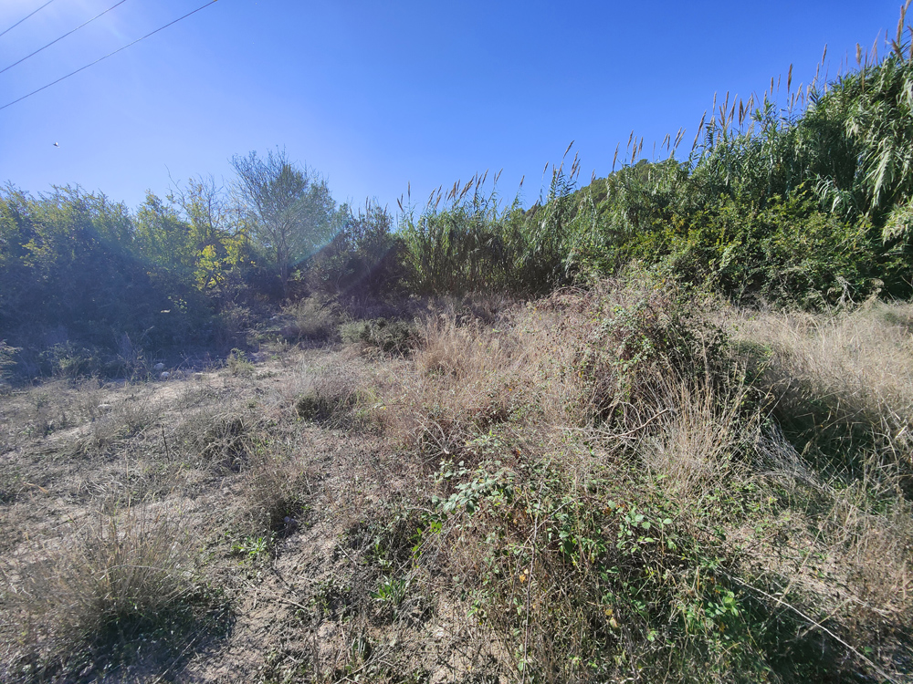 - Image 14