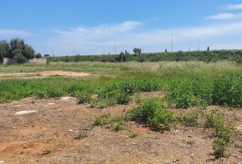 Suelo urbanizable residencial en TERRABONA PARCELA 109 y 108 del PL Nº 13