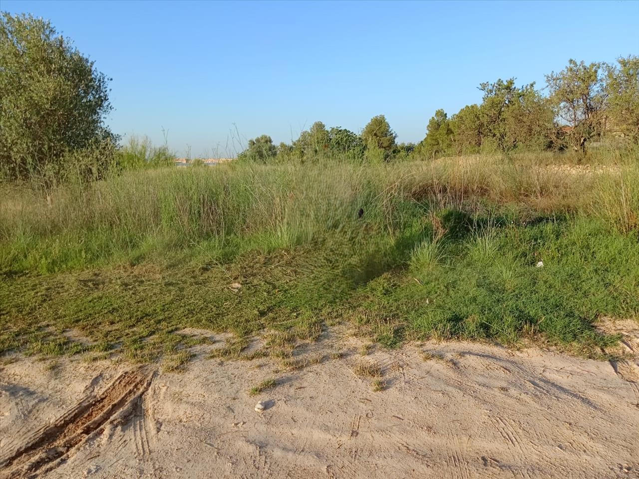 - Image 3