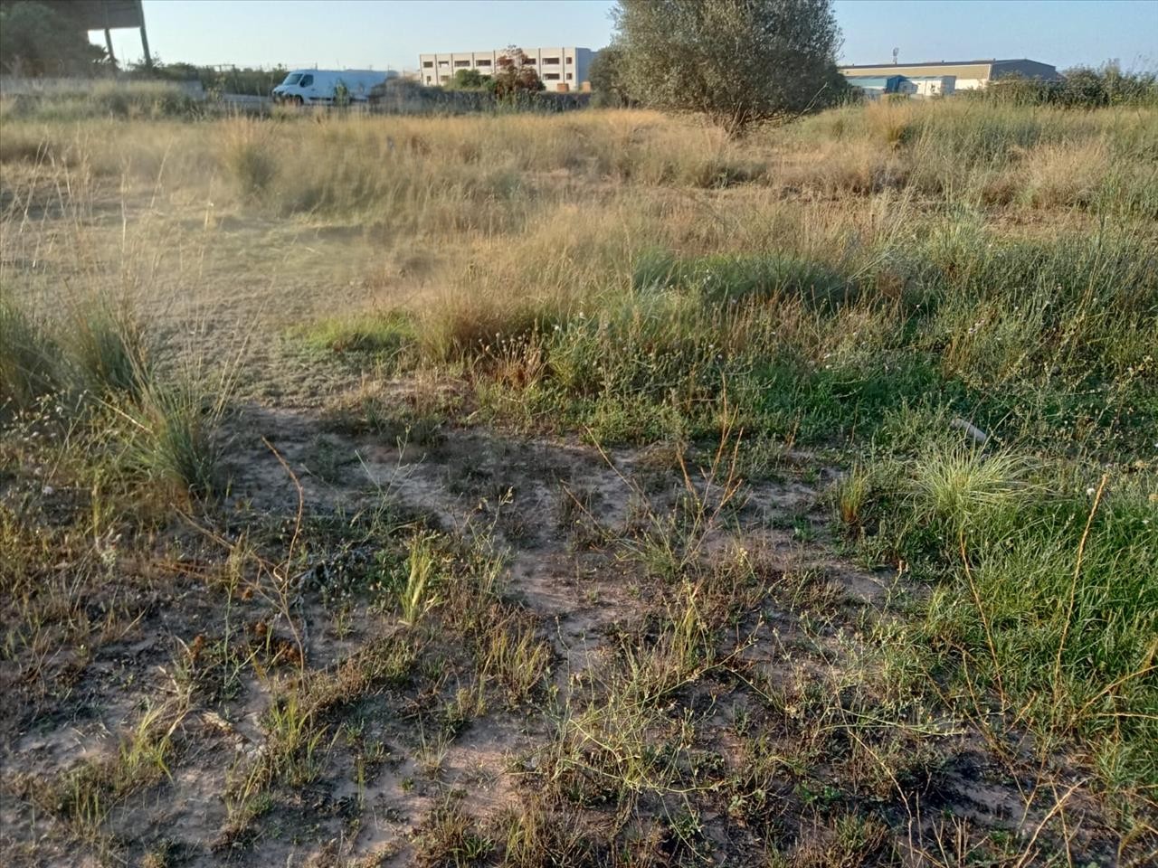 - Image 8