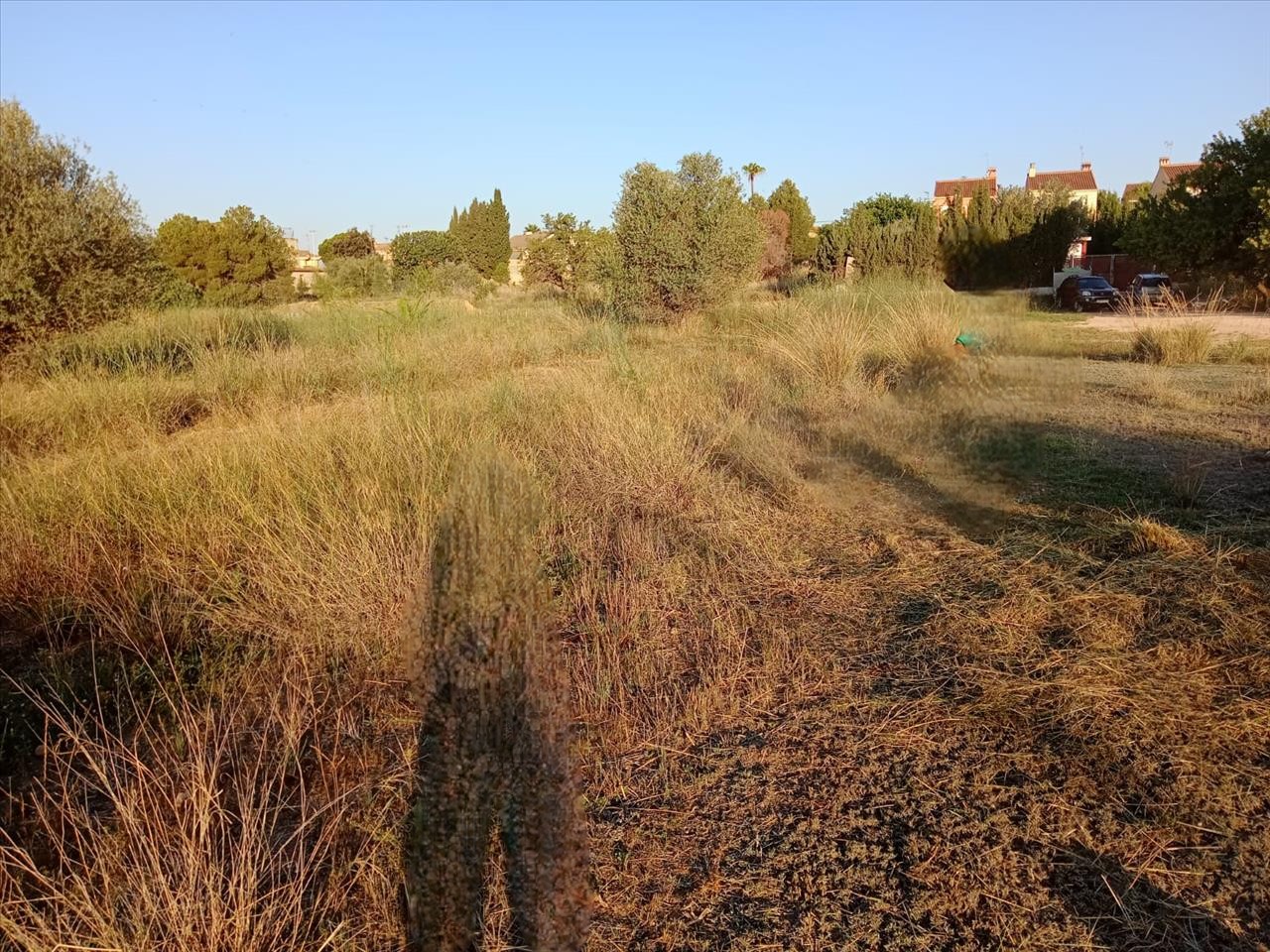 - Image 4