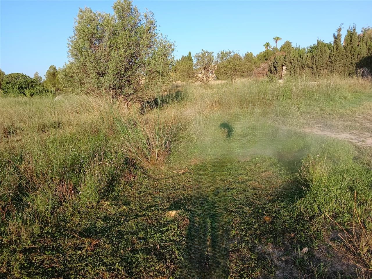 - Image 6