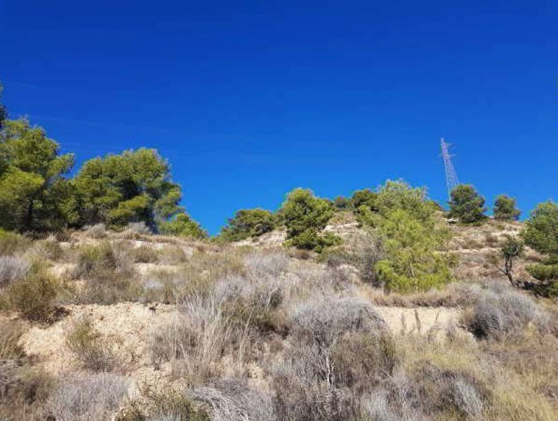 undefined - Image 3