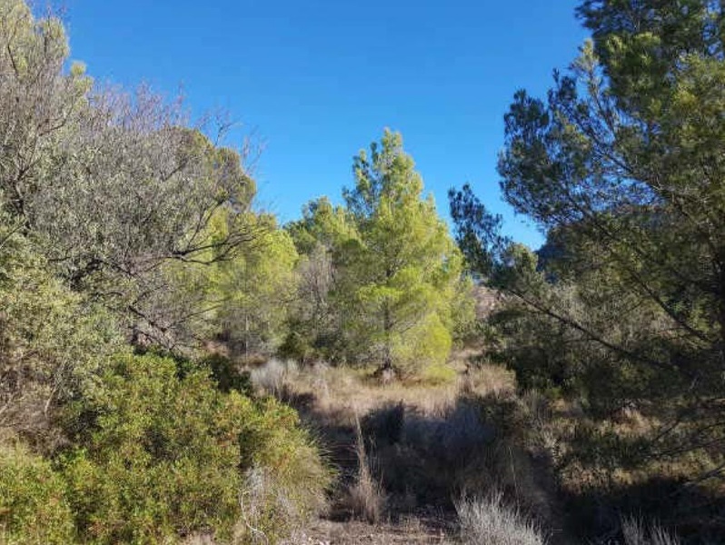 undefined - Image 11