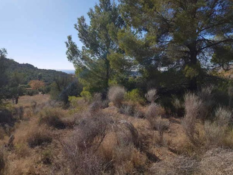 undefined - Image 5
