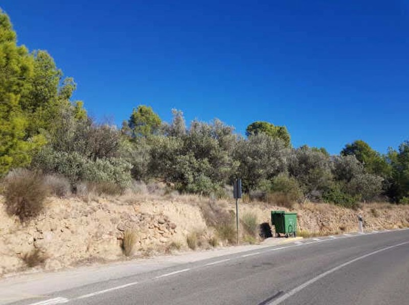 undefined - Image 15