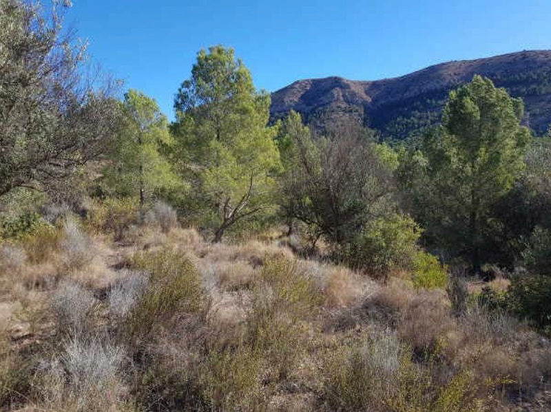 undefined - Image 6