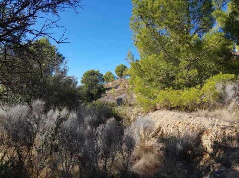 undefined - Image 9