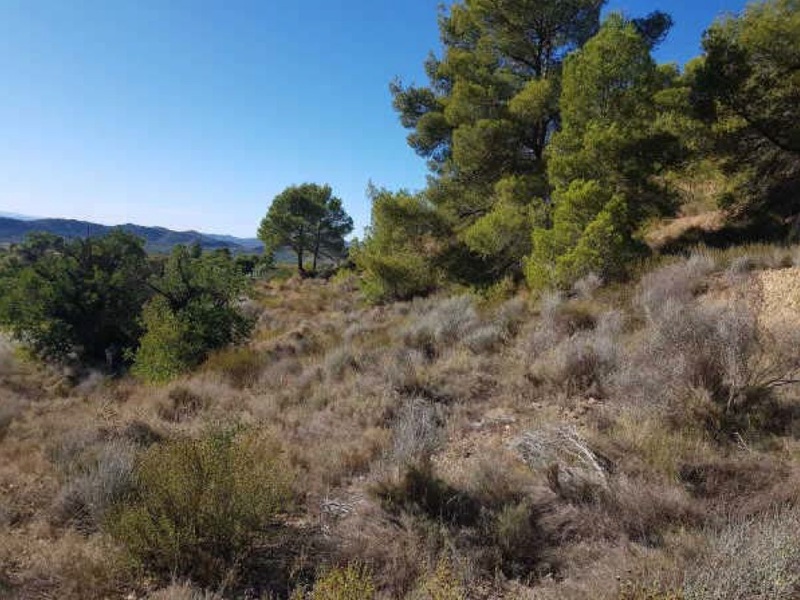 undefined - Image 1