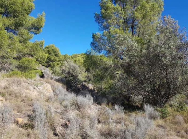 undefined - Image 8