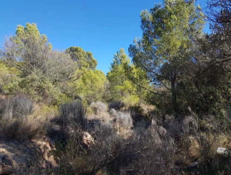 undefined - Image 12