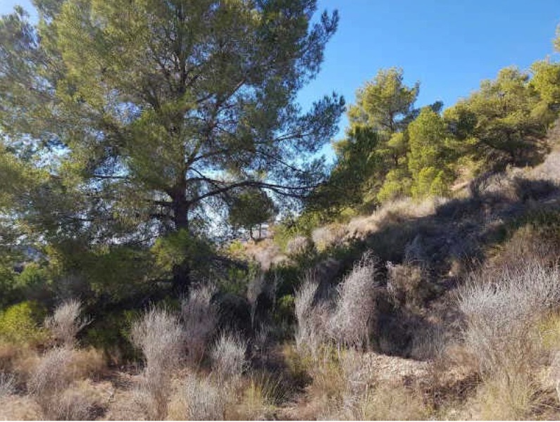 undefined - Image 4