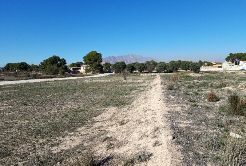 Suelo urbanizable residencial en ORITO, POLIGONO 11