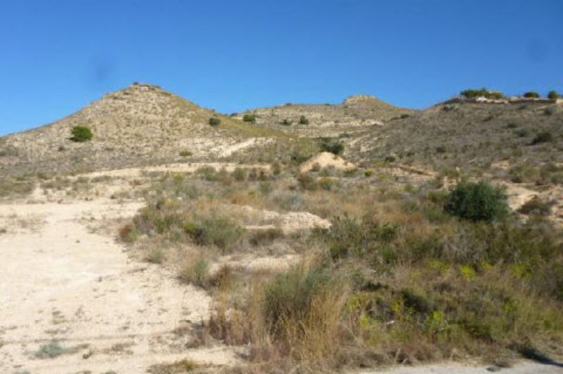 - Image 2
