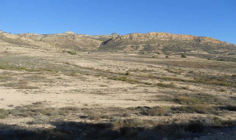 - Image 7