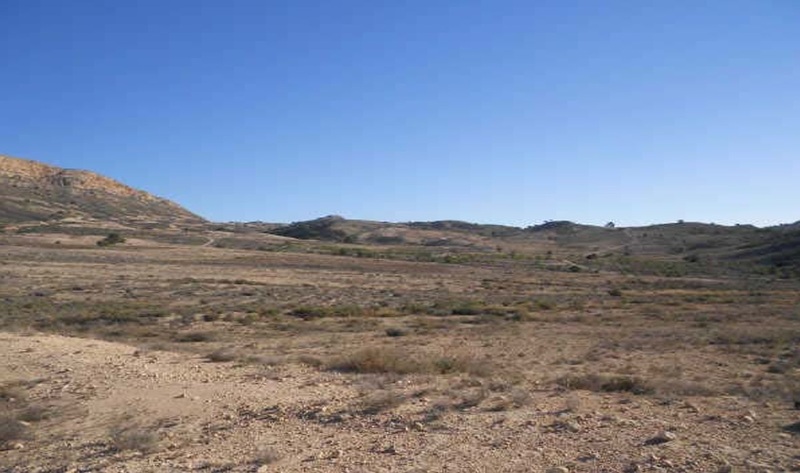 - Image 8