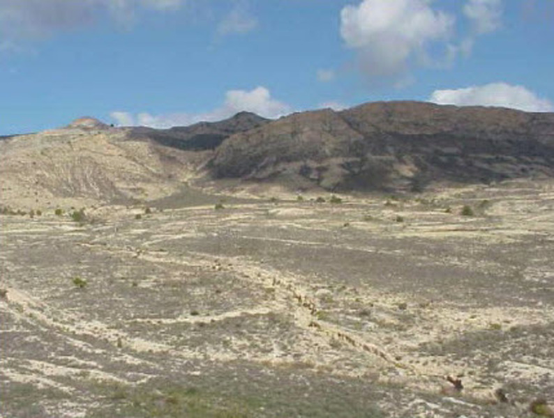 - Image 14