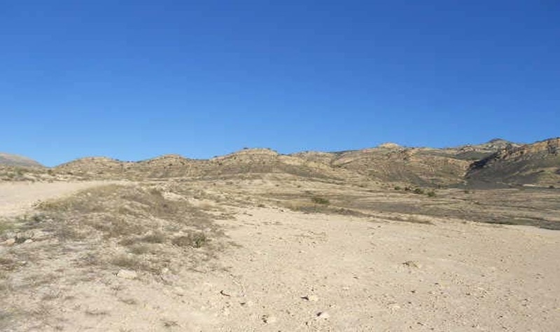 - Image 11