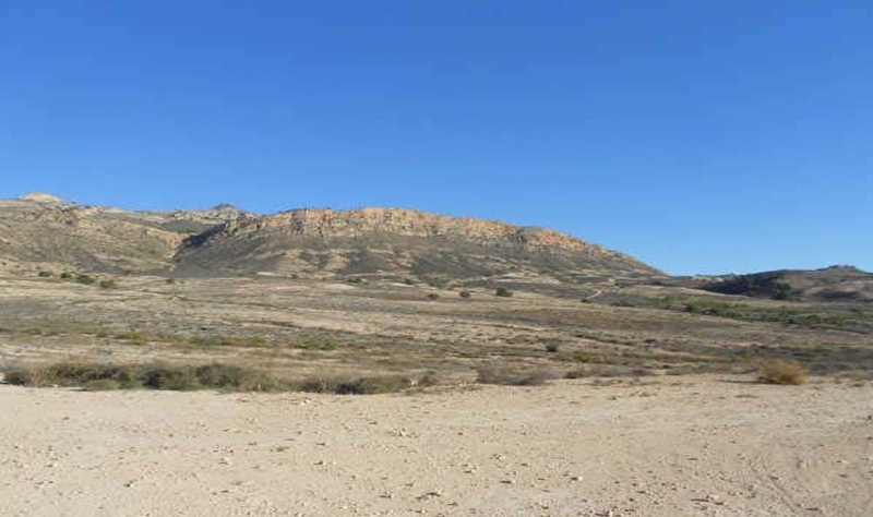 - Image 3