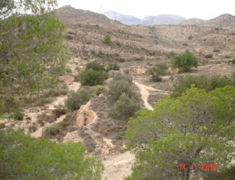 - Image 15