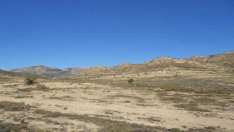 - Image 6
