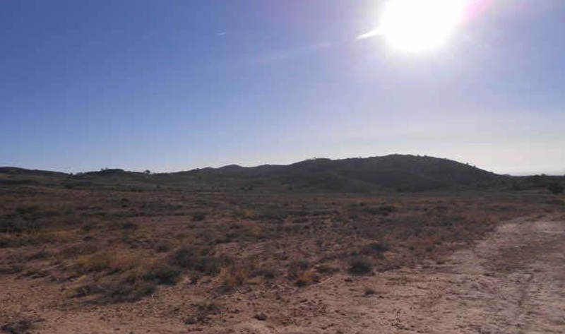 - Image 10