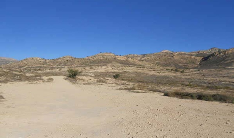 - Image 4