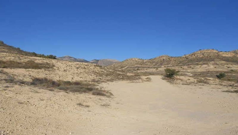 - Image 5