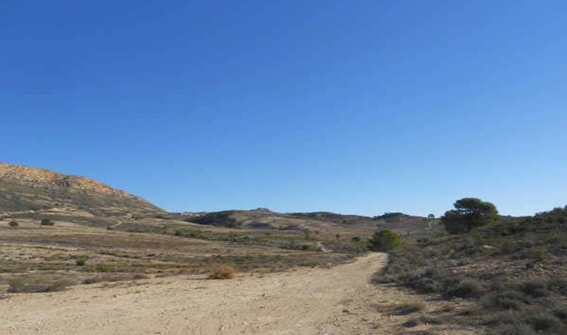 - Image 13