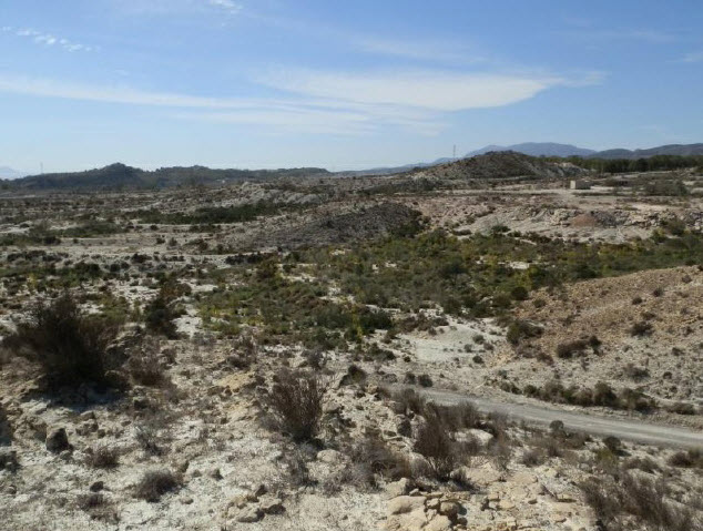 Suelo en Murcia, Murcia