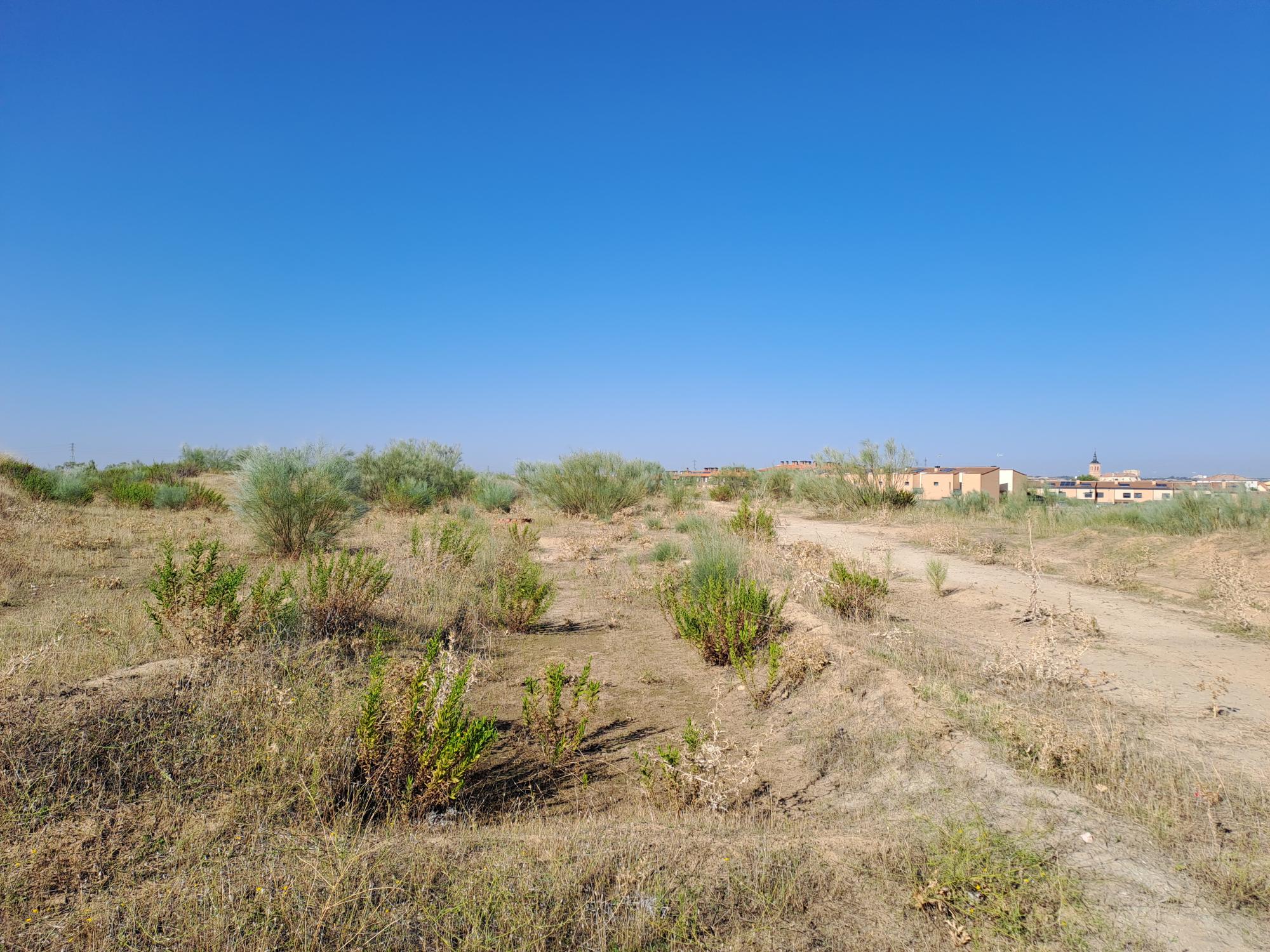 Suelo en Torrejón de Velasco, Madrid