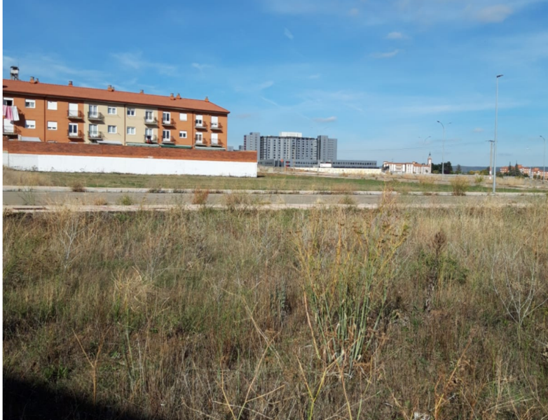Image3