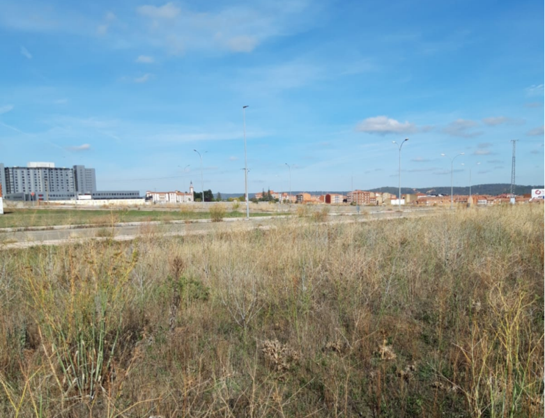 Image4