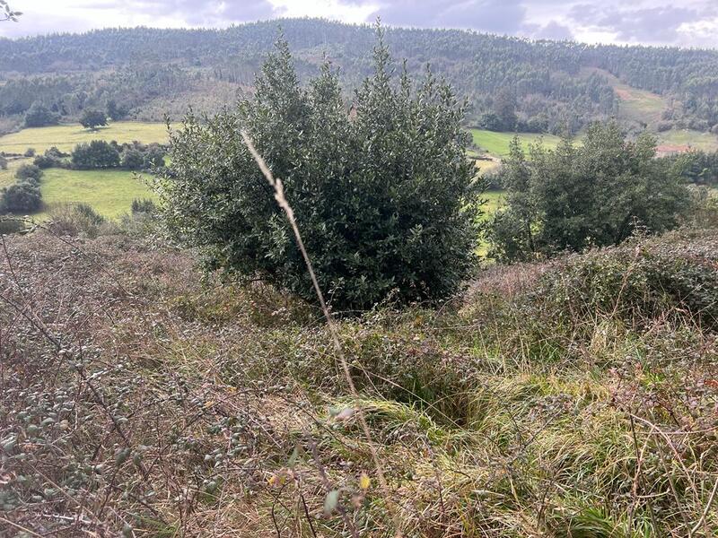 image01