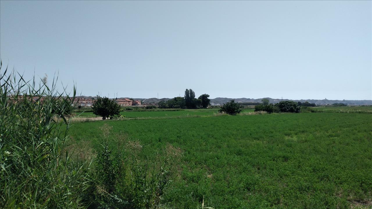 Image2
