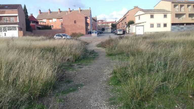 Image4