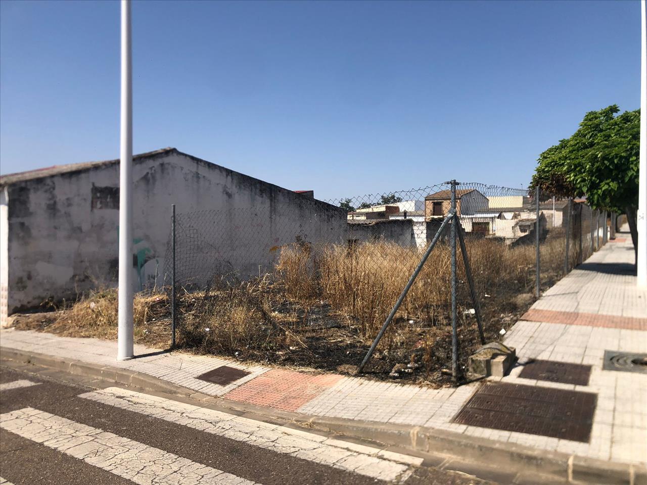 undefined - Image 6