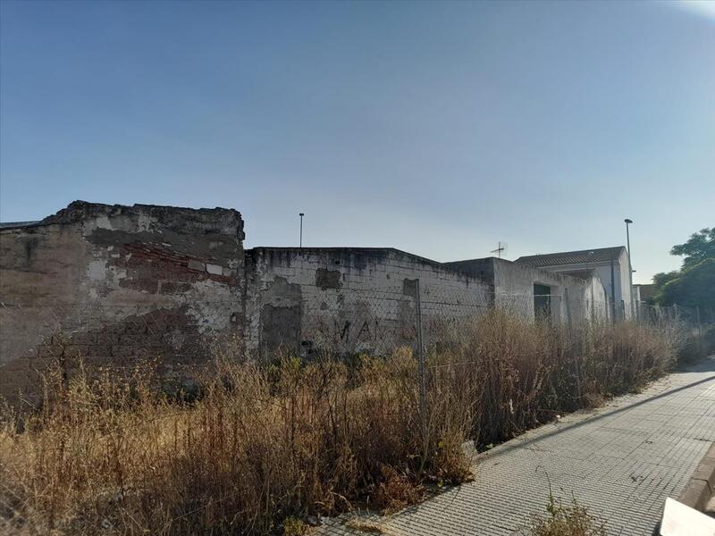 undefined - Image 7