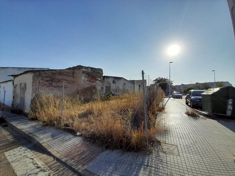 undefined - Image 6