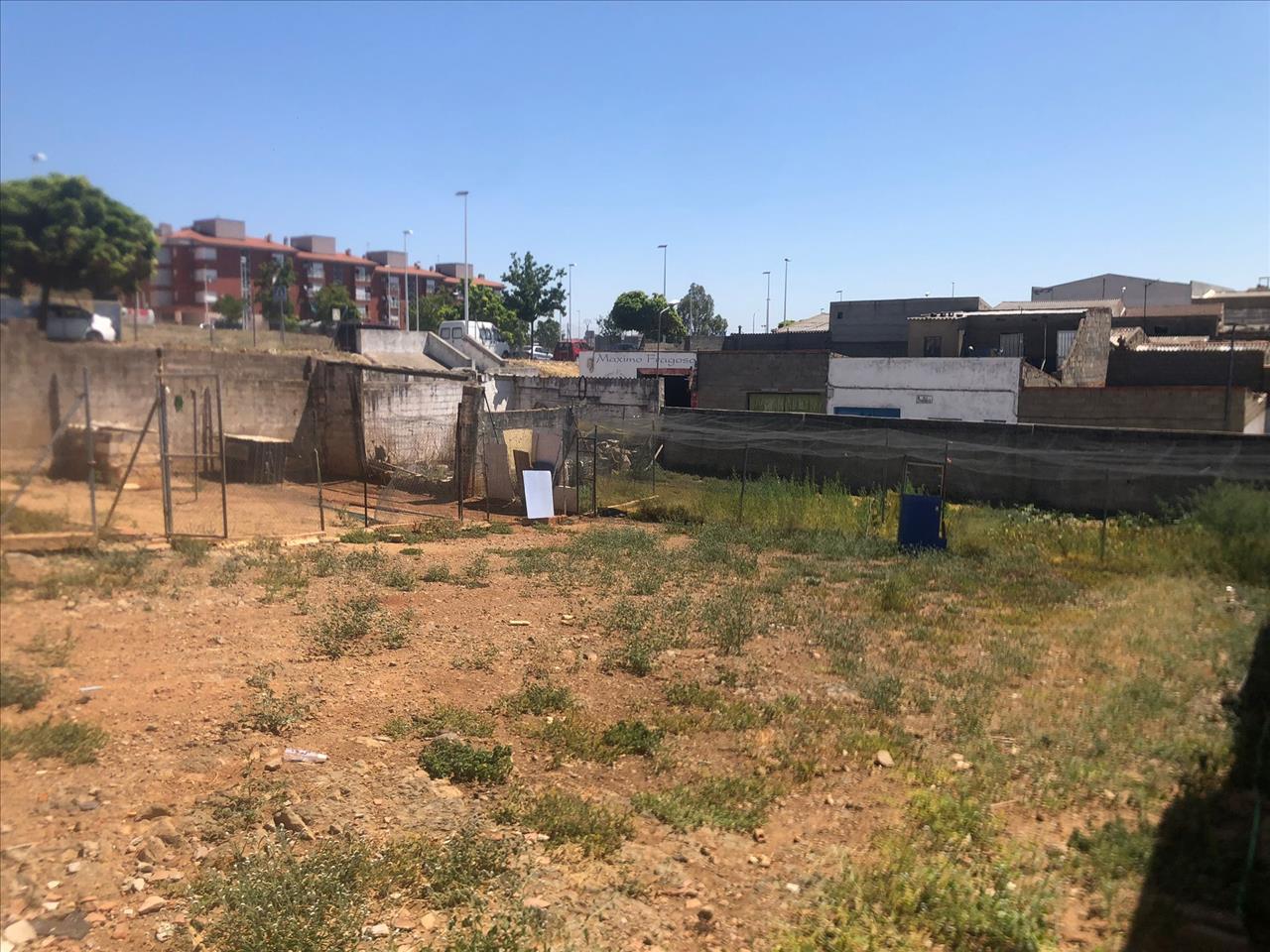 undefined - Image 12