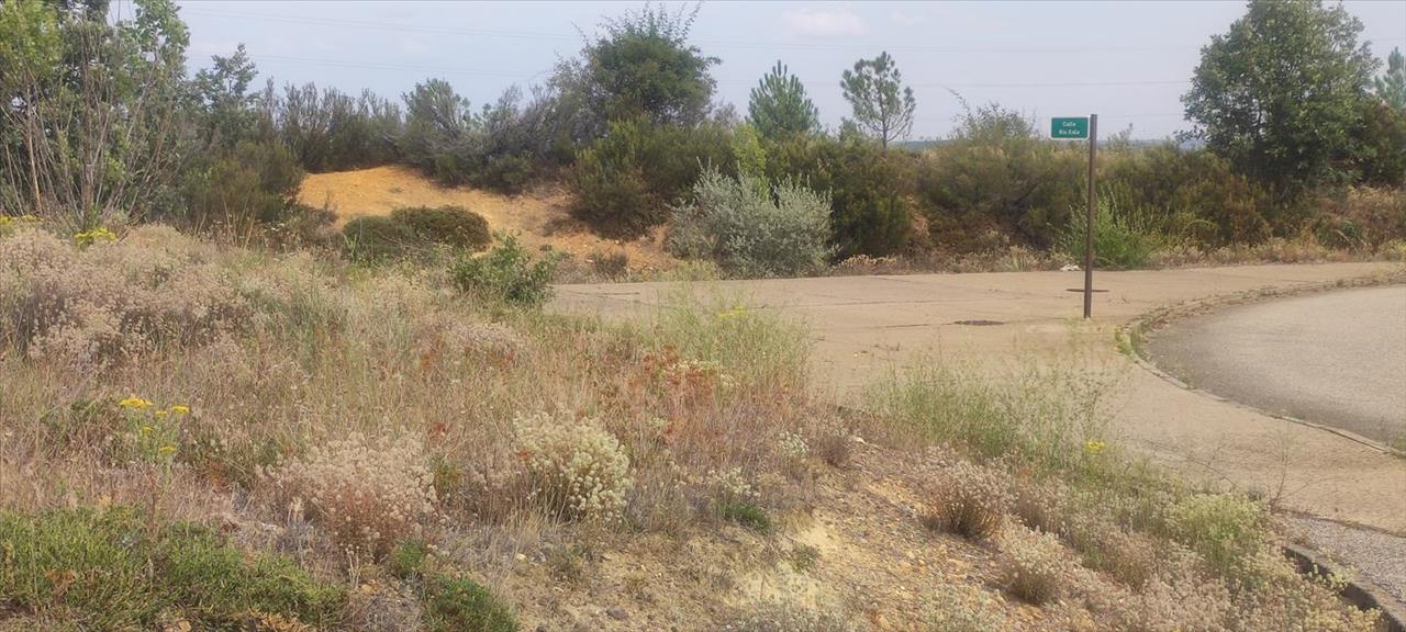 Asset image0