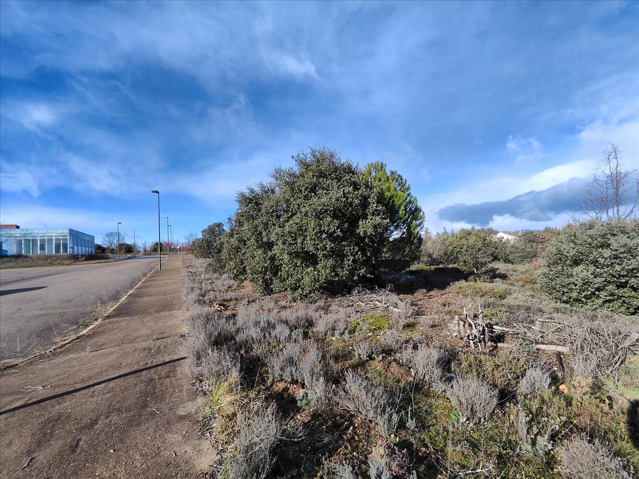 Image2