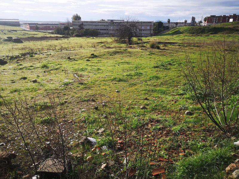 undefined - Image 8